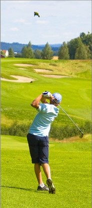 golfswing final phase